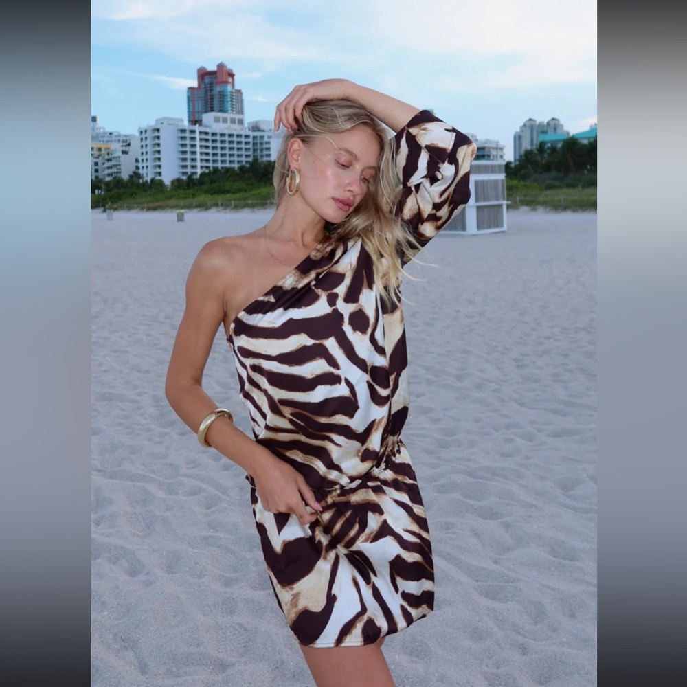 Kiki Zebra One Shoulder Mini dress